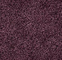 GallottiRadice Perky Amaranth 020